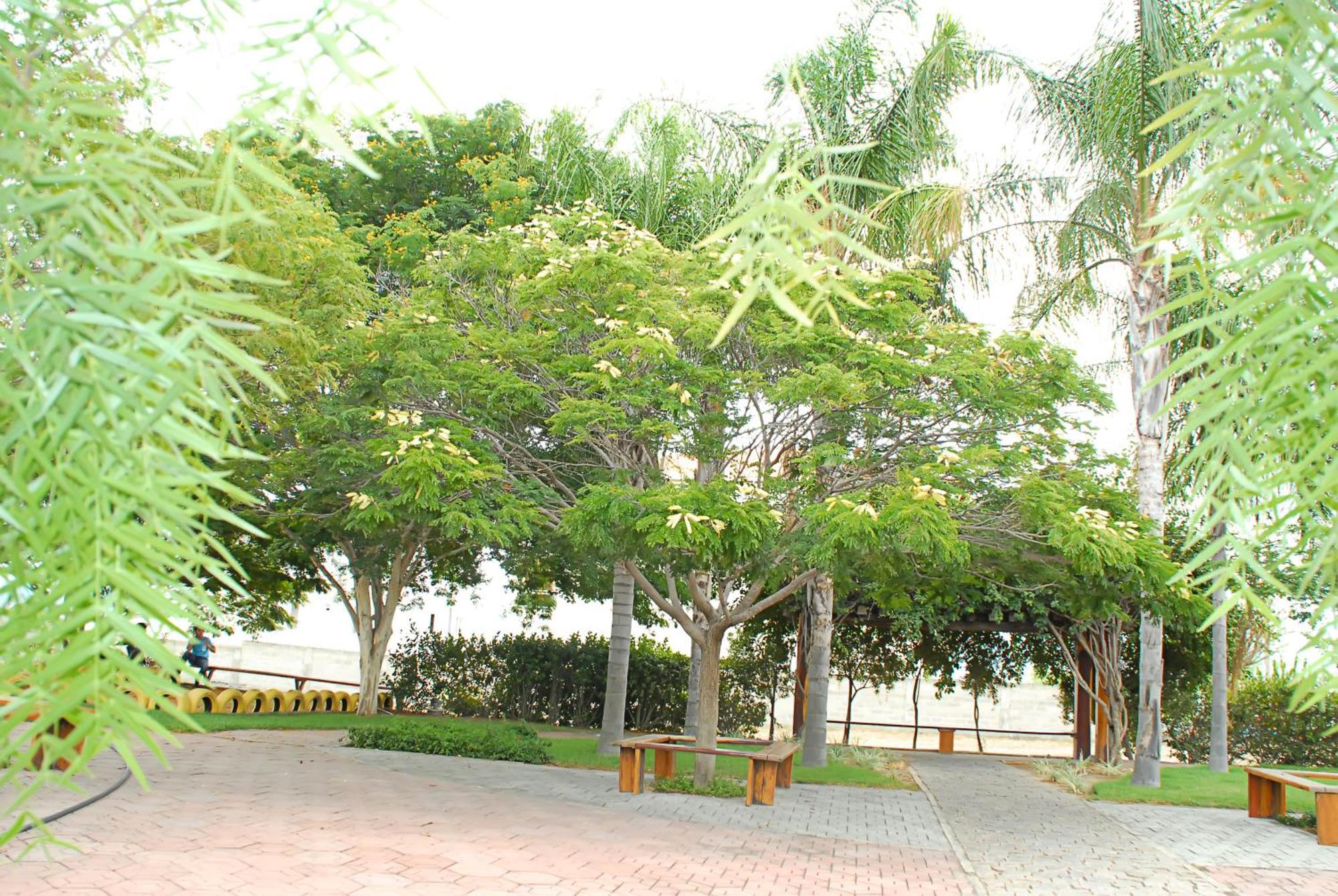 Hotel Flor Da Chapada Itaberaba 外观 照片